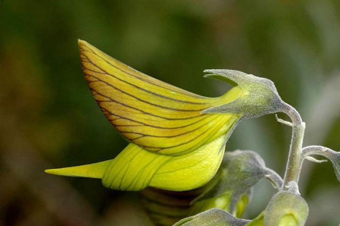 Colibri Loc - Insolite - 3 Etoiles - Parc - Etang - Familles - Soiree Ok Brigne Exterior foto