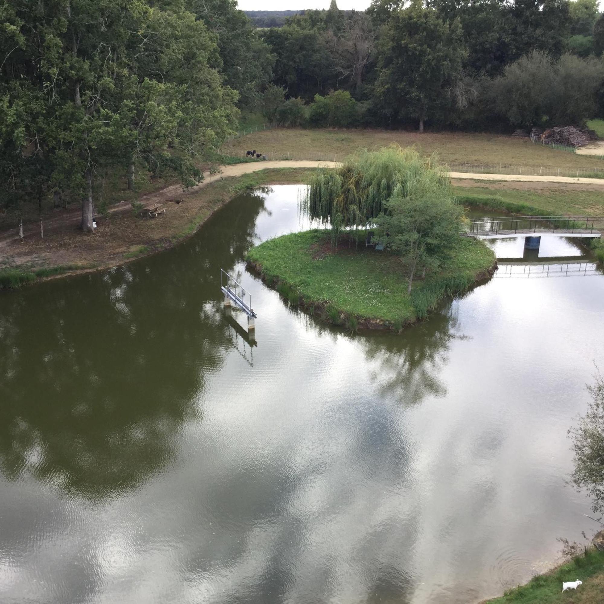 Colibri Loc - Insolite - 3 Etoiles - Parc - Etang - Familles - Soiree Ok Brigne Exterior foto